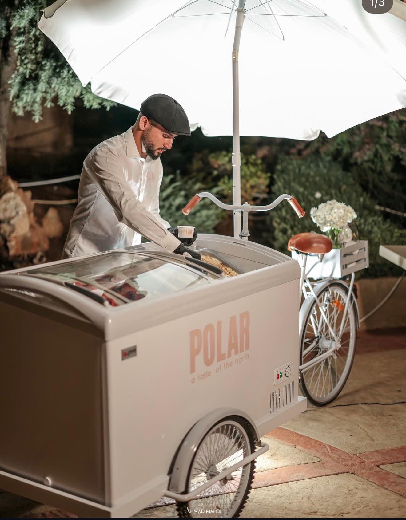 Polar leb